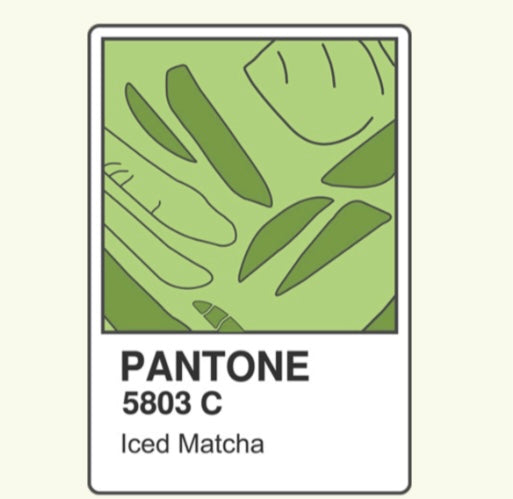 Pantone matcha color